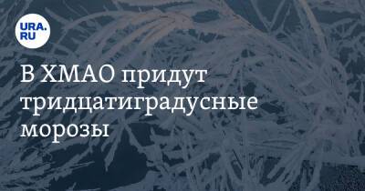 В ХМАО придут тридцатиградусные морозы - ura.news - Югра