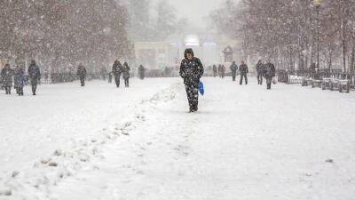 Александр Синенков - Синоптик: На этой неделе в центре европейской части России будет изменчивая погода с продолжительными снегопадами - mir24.tv - Россия