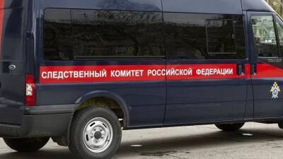 Виталий Бережной - СК завершил расследование дела об убийстве девочки в Тюмени - russian.rt.com - Россия - Тюмень