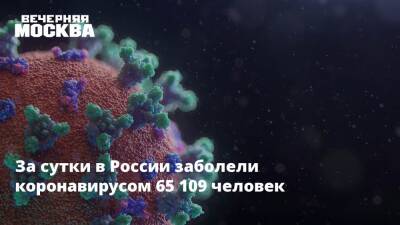 За сутки в России заболели коронавирусом 65 109 человек - vm.ru - Москва - Россия - Орловская обл. - респ. Ингушетия - Челябинская обл. - Калужская обл. - Свердловская обл. - Омская обл. - Архангельская обл.