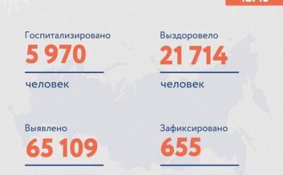 В России за сутки коронавирусом заразились 65 109 человек, выздоровели — 21 714, умерли — 655 - echo.msk.ru - Москва - Россия