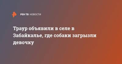 Траур объявили в селе в Забайкалье, где собаки загрызли девочку - ren.tv