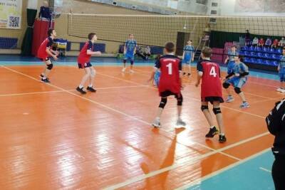 Команда из Серпухова стала лучшей на турнире по волейболу - serp.mk.ru - Подольск