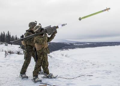 Арвидас Анушаускас - Литва - Литва поставит Украине ПЗРК Stinger – Минобороны - obzor.lt - Москва - Россия - США - Украина - Киев - Эстония - Литва - Латвия