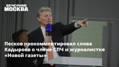 Дмитрий Песков - Рамзан Кадыров - Елена Милашина - Игорь Каляпин - Сайди Янгулбаев - Зарема Мусаева - Песков прокомментировал слова Кадырова о члене СПЧ и журналистке «Новой газеты» - vm.ru - Россия - Нижний Новгород - респ. Чечня - Чечня