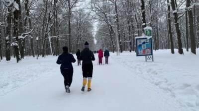 В Пензенской области коронавирус подтвердился еще у 218 жителей - penzainform.ru - Пензенская обл. - Пенза - Заречный