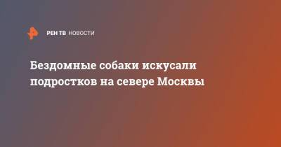 Бездомные собаки искусали подростков на севере Москвы - ren.tv - Москва - Москва