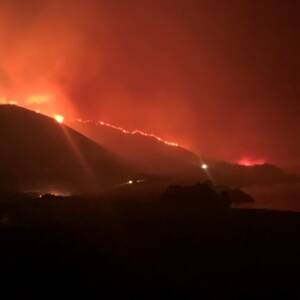 В США начались масштабные лесные пожары: проводится эвакуация. Фото - reporter-ua.com - США - шт. Колорадо - шт. Калифорния