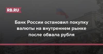 Банк России остановил покупку валюты на внутреннем рынке после обвала рубля - rb.ru - Россия - США