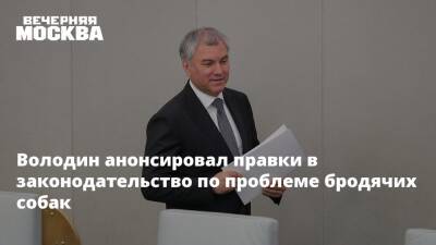 Владимир Бурматов - Вячеслав Володин - Володин анонсировал правки в законодательство по проблеме бродячих собак - vm.ru - Забайкальский край - район Читинский