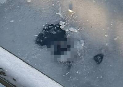 В Липецке в реке обнаружили тело пропавшего подростка - ya62.ru - Воронеж - Липецк