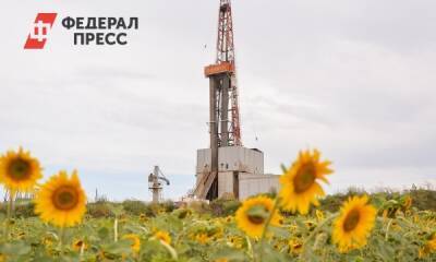 «Оренбургнефть» помогла обнаружению уникальных артефактов - fedpress.ru - Оренбург