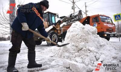 Власти Петербурга отчитались об «ударной» уборке города от снега - fedpress.ru - Санкт-Петербург