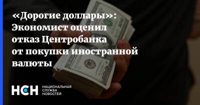 Олег Шибанов - «Дорогие доллары»: Экономист оценил отказ Центробанка от покупки иностранной валюты - nsn.fm - Россия - Сколково