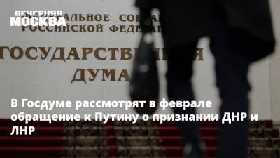 Владимир Путин - Николай Коломейцев - В Госдуме рассмотрят в феврале обращение к Путину о признании ДНР и ЛНР - vm.ru - Москва - Россия - Украина - Киев - Германия - Франция - ДНР - Минск - ЛНР