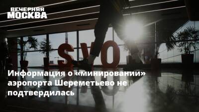 Информация о «минировании» аэропорта Шереметьево не подтвердилась - vm.ru - Екатеринбург