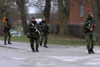 Шведская армия тренируется защищать Готланд от России - mk.ru - Россия - Украина - Германия - Швеция