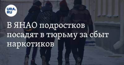 Группу юных наркоторговцев из ЯНАО отправили в колонию - ura.news - Салехард - окр. Янао - Благовещенск