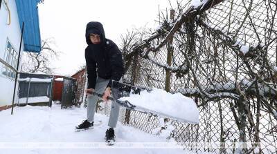 ФОТОФАКТ: Молодежь помогает пожилым людям в уборке снега в Белыничском районе - belta.by - Белоруссия - район Белыничский