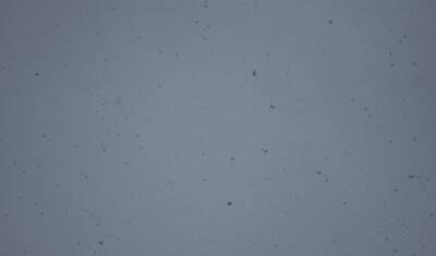 Из-за сильного снегопада на дорогах Тюмени обострится аварийная обстановка - nashgorod.ru - Ханты-Мансийск - Тюмень - Тобольск
