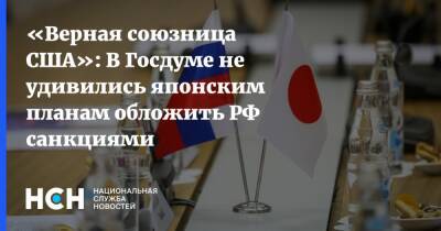 Вячеслав Никонов - «Верная союзница США»: В Госдуме не удивились японским планам обложить РФ санкциями - nsn.fm - Россия - США - Украина - Япония