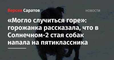 Вячеслав Володин - Роман Бусаргин - «Могло случиться горе»: горожанка рассказала, что в Солнечном-2 стая собак напала на пятиклассника - nversia.ru - Саратовская обл. - район Заводский