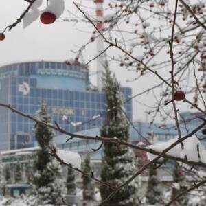 На Хмельницкой АЭС отключили от сети первый энергоблок - reporter-ua.com - Украина