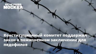 Вячеслав Володин - Александр Бастрыкин - Конституционный комитет поддержал закон о пожизненном заключении для педофилов - vm.ru - Кострома