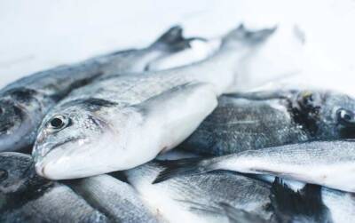 Эвелина Сегодня - Врач Хуссейн Абде рассказал любителям солёной рыбы о смертельной опасности - actualnews.org - Англия