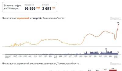 В Тюменской области у 107 детей диагностировали коронавирус - nashgorod.ru - Россия - Тюменская обл. - Югра - окр. Янао