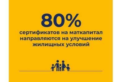 80% брянцев используют материнский капитал на жилье - mk.ru - Брянская обл.