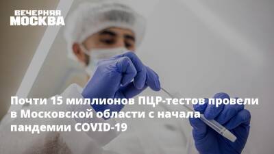 Светлана Стригункова - Почти 15 миллионов ПЦР-тестов провели в Московской области с начала пандемии COVID-19 - vm.ru - Московская обл. - Московская область