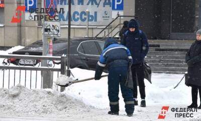 Борис Вишневский - Полина Зиновьева - Петербургские власти признали неудачу эксперимента по уборке тротуаров от снега - fedpress.ru - Санкт-Петербург