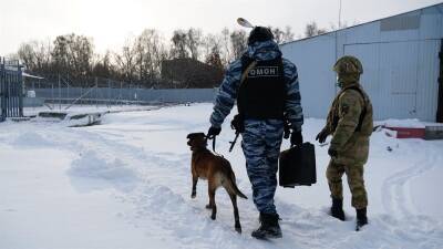 Инженерная служба войск национальной гвардии Российской Федерации отмечает юбилей - ulpravda.ru - Россия