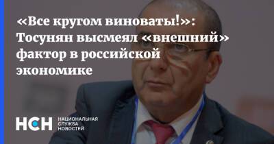 Гарегин Тосунян - «Все кругом виноваты!»: Тосунян высмеял «внешний» фактор в российской экономике - nsn.fm - Россия