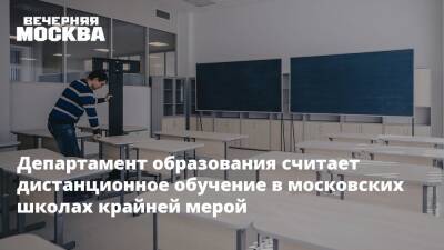 Департамент образования считает дистанционное обучение в московских школах крайней мерой - vm.ru - Москва - Москва