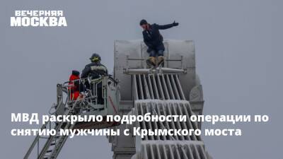 МВД раскрыло подробности операции по снятию мужчины с Крымского моста - vm.ru - Москва - Россия - Москва