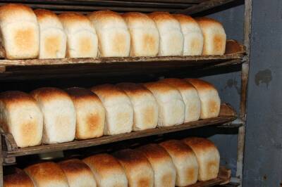 Россиян предупредили о подорожании хлеба до 30 % - ivbg.ru - Россия - Украина - Финляндия