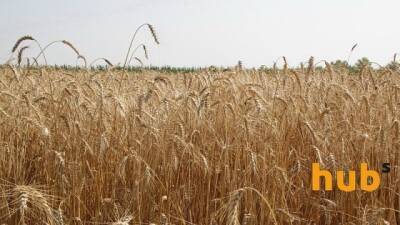 Бізнес закликає врегулювати питання аграрних розписок - hubs.ua - Украина - Аграрии