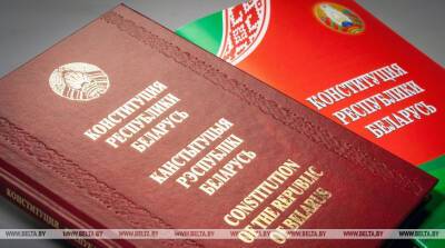 Лилия Ананич - Ананич: в обновленной Конституции есть ответы на многие вызовы времени - belta.by - Белоруссия
