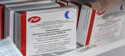 Татьяна Голикова - СМИ: Минздрав России приостановил закупки и поставки «Эпиваккороны» - stolicaonego.ru - Россия