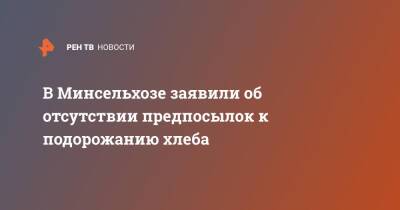 В Минсельхозе заявили об отсутствии предпосылок к подорожанию хлеба - ren.tv