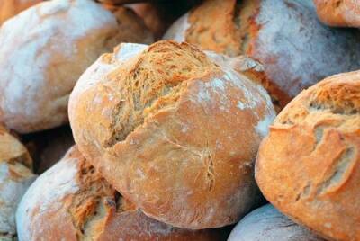 В Минсельхозе отреагировали на заявление о росте цен на хлеб - argumenti.ru - Россия