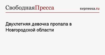 Двухлетняя девочка пропала в Новгородской области - svpressa.ru - Иркутская обл. - Берлин - Красноярск - Новгородская обл. - Холм