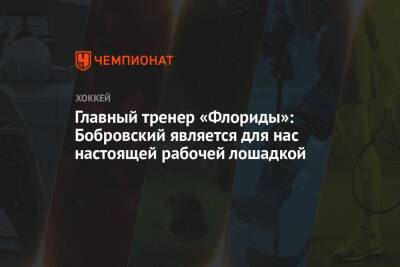 Сергей Бобровский - Главный тренер «Флориды»: Бобровский является для нас настоящей рабочей лошадкой - championat.com - шт.Флорида