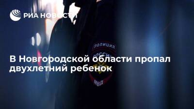 СК возбудил уголовное дело по факту пропажи двухлетней девочки в Новгородской области - ria.ru - Москва - Россия - Новгородская обл. - Холм