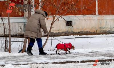 На Ямале введут штрафы для владельцев собак - fedpress.ru - Салехард