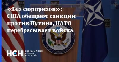 Владимир Путин - Нед Прайс - Джо Байден - «Без сюрпризов»: США обещают санкции против Путина, НАТО перебрасывает войска - nsn.fm - Москва - Россия - США - Украина - Киев - Вашингтон