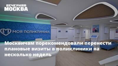 Москвичам порекомендовали перенести плановые визиты в поликлиники на несколько недель - vm.ru - Москва - Москва