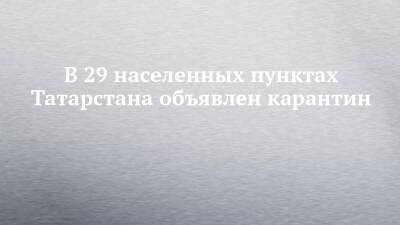 Рустам Минниханов - В 29 населенных пунктах Татарстана объявлен карантин - chelny-izvest.ru - респ. Татарстан